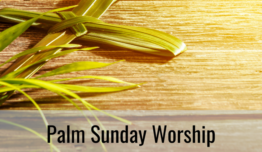 Palm Sunday Worship April 5 2020 Lutheran Church Of Peace